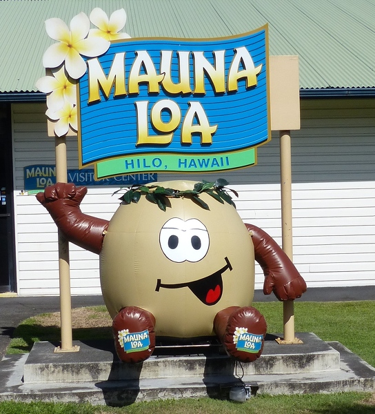 Mauna Loa factory mascot